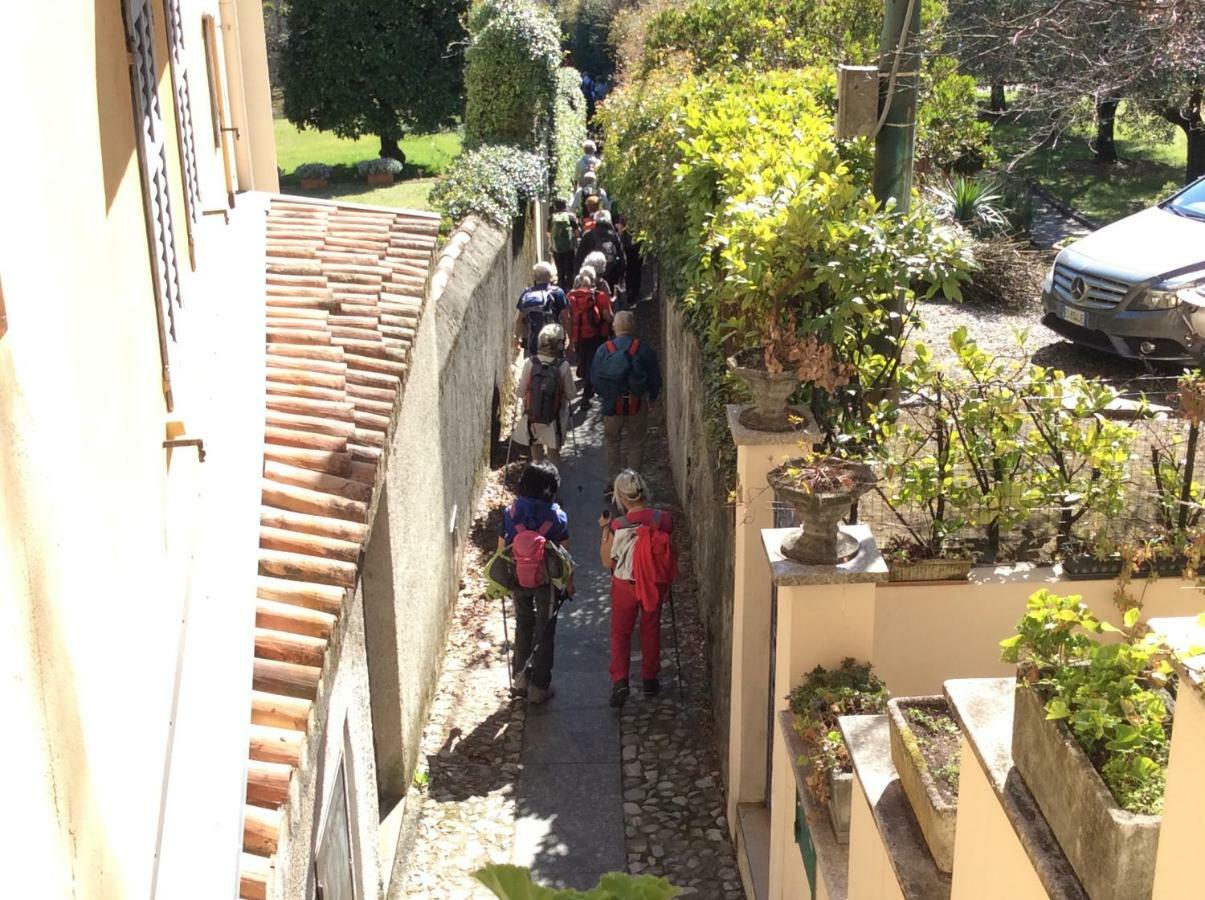 Appartamento il nido nella quiete Tremezzo Esterno foto